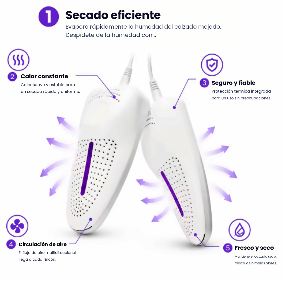 Infografía de secado: calor constante, circulación de aire y protección térmica